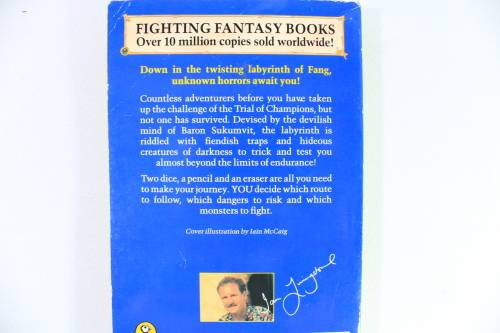 Bulk Lot of Six Fighting Fantasy Game Books