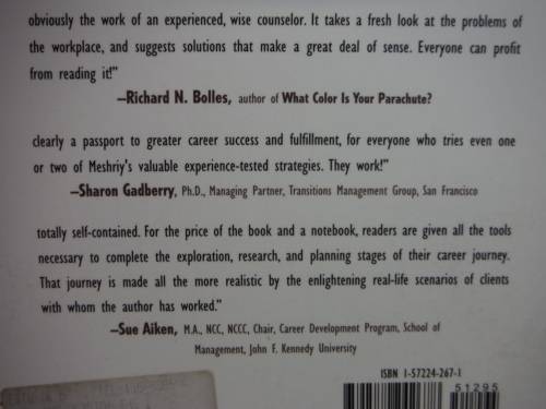 Thinking Outside the Cubicle - Softcover - Norman J. Meshriy