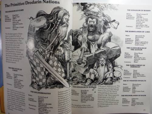 Lone Wolf and Grey Star : The Magnamund Companion - Joe Dever and Gary Chalk - Rare Find!