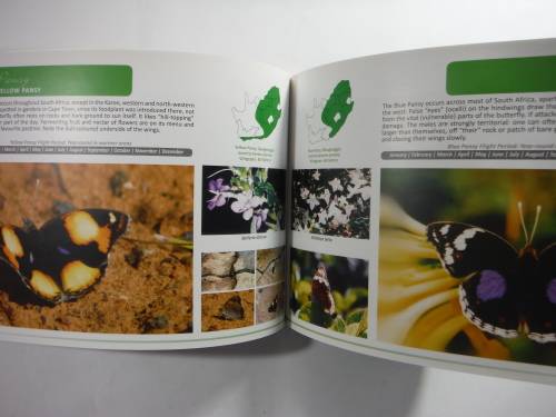 There's a Butterfly in My Garden:How to Make Butterflies Feel at Home in Your Garden-Lieveke Noyons