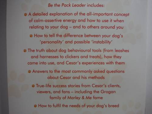 Be the Pack Leader - Paperback - Cesar Millan
