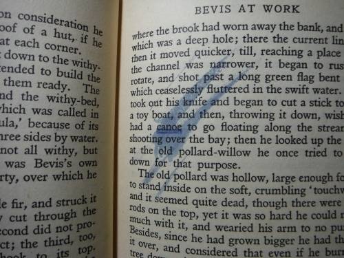 Bevis at Home - Hardcover - Richard Jefferies - 1940
