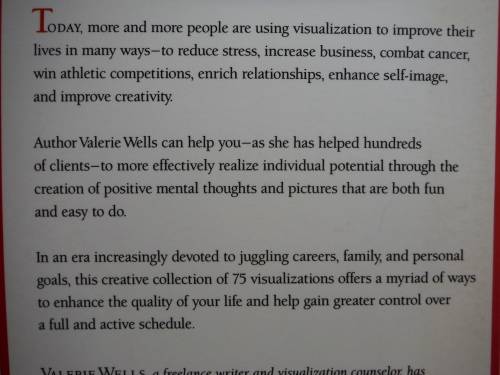 The Joy of Visualization - Paperback - Valerie Wells