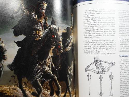 Advanced Dungeons and Dragons 2nd Edition : Dungeon Master`s Guide - Arms and Equipment Guide