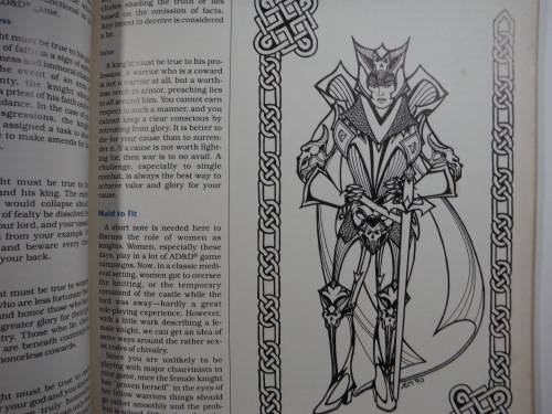 Advanced Dungeons and Dragons 2nd Edition : Dungeon Master`s Guide - The Castle Guide