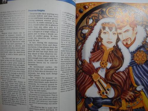Advanced Dungeons and Dragons 2nd Edition : Dungeon Master`s Guide - The Castle Guide