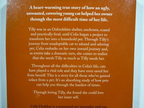 Tilly : The Ugliest Cat in the Shelter - Celia Haddon