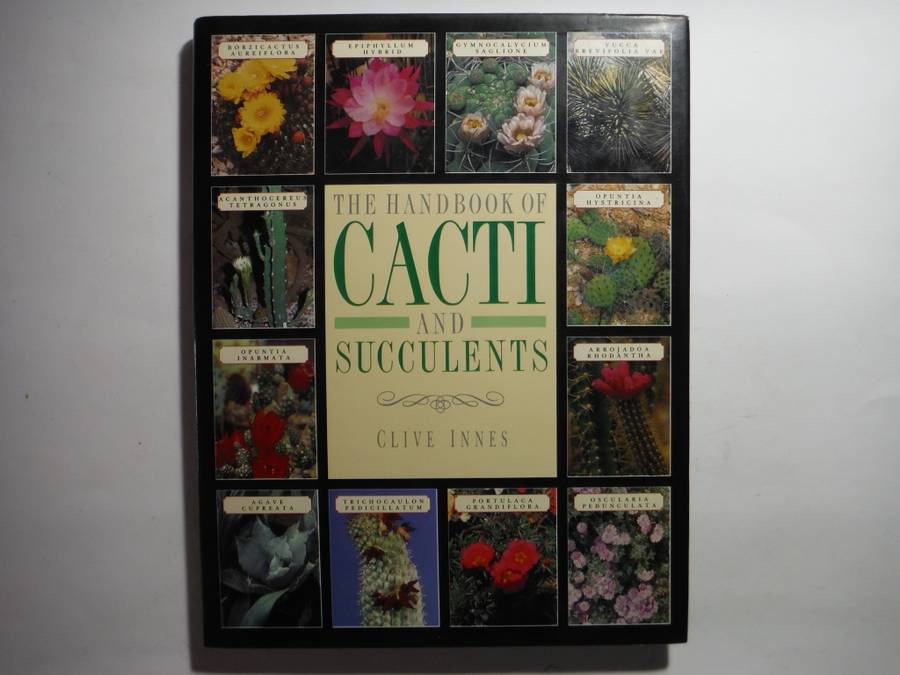The Handbook of Cacti and Succulents - Hardcover - Clive Innes - 1988
