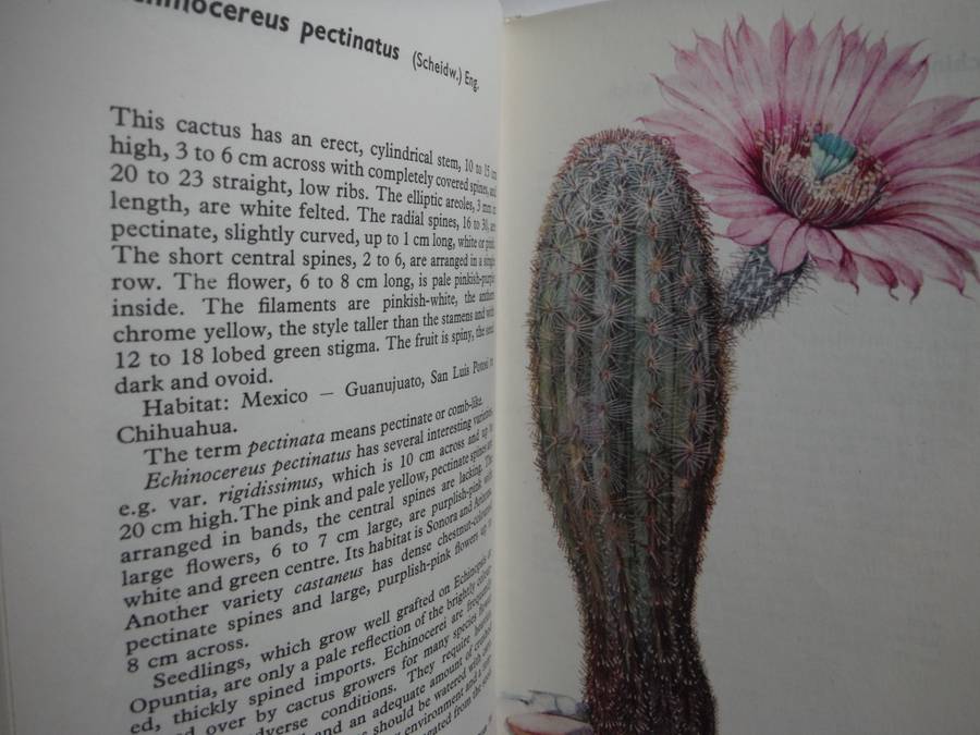 A Concise Guide in Colour : Cacti and Succulents - Hardcover - Rudolf Subik