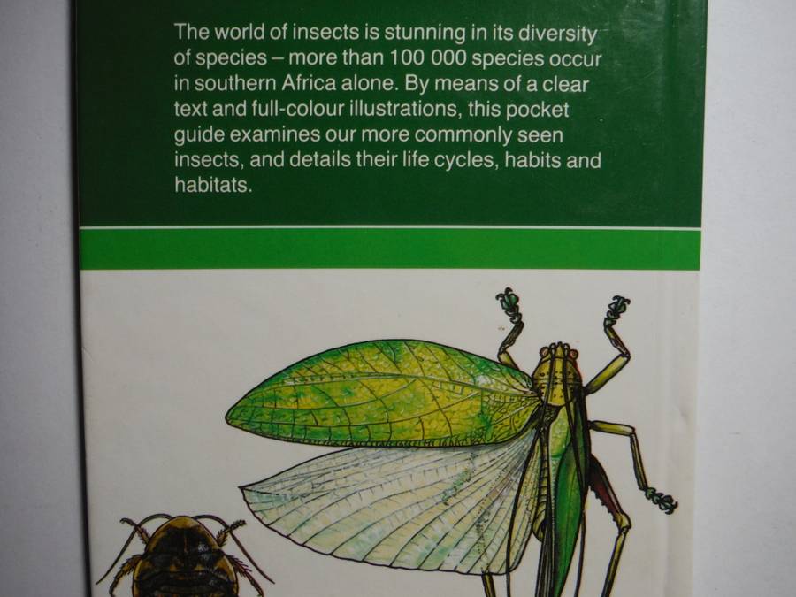 Struik Pocket Guides for Southern Africa : Insects - Hardcover - Erik Holm