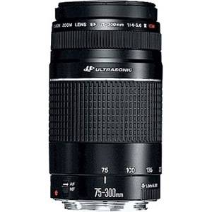 Canon EF 75 - 300 mm F4.0 - 5.6 III Lens