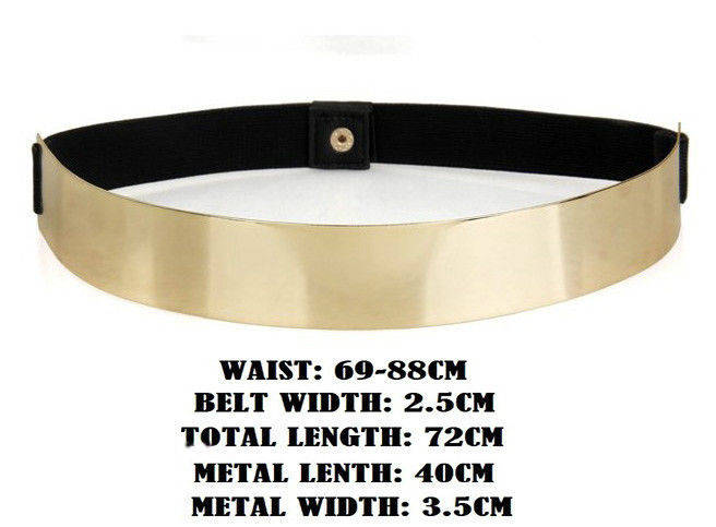 LADIES--***THE WOW!!! FACTOR~  METAL PLATE TRENDY DECORATION HIP HIGH WAIST WIDE BELT