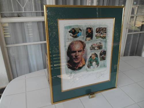 1995 signed rugby print framed behind glass don't no who signed it