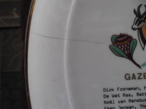 rare old wall hanging 5 Rugby plates highly collectable add Postnet to Postnet postage R140