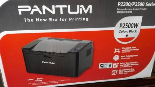 Pantum P2500W Laser Printer