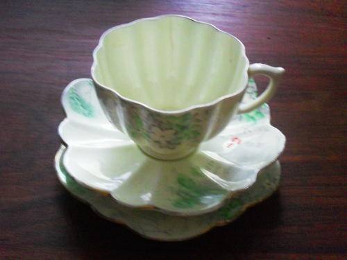 Beautiful Woodland Bluebell trio,postage R35.00