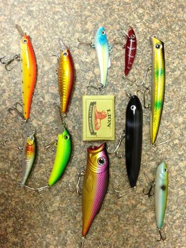 Set of 10 Brand New Fishing Lures - Fresh or Salt Water