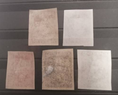 Belarus 1920 Unissued - Imperforate Set