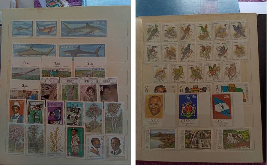 Mint Selection - INCLUDES ALBUM