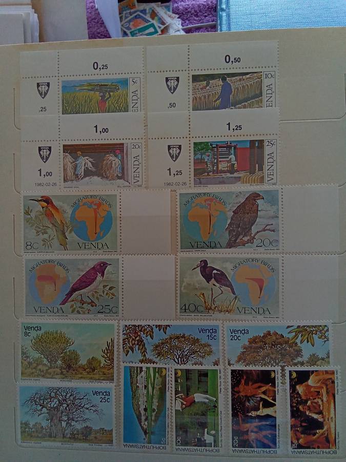 Mint Selection - INCLUDES ALBUM