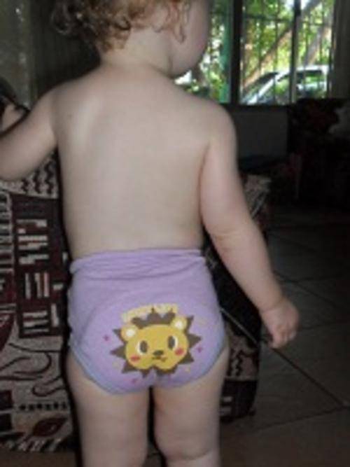potty training pants