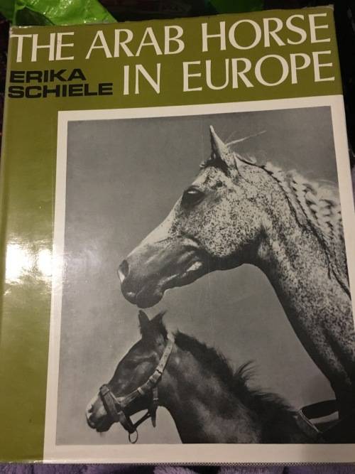 The Arab Horse in Europe - Erika Schiele - Beautiful Large Book