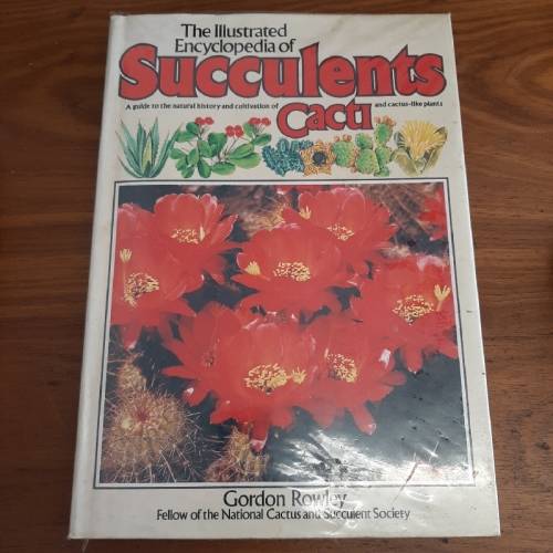 The Illustrated Encyclopedia of Succulents / Cacti - Gordon Rowley