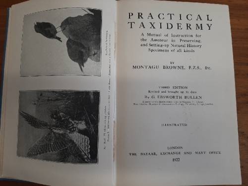 Practical Taxidermy - 1922