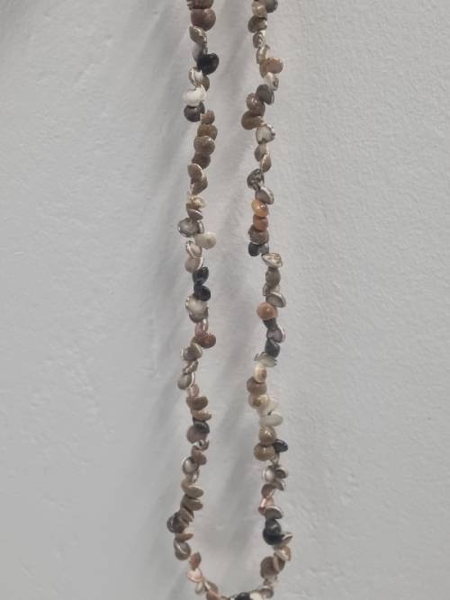 String of small sea shells - See pictures