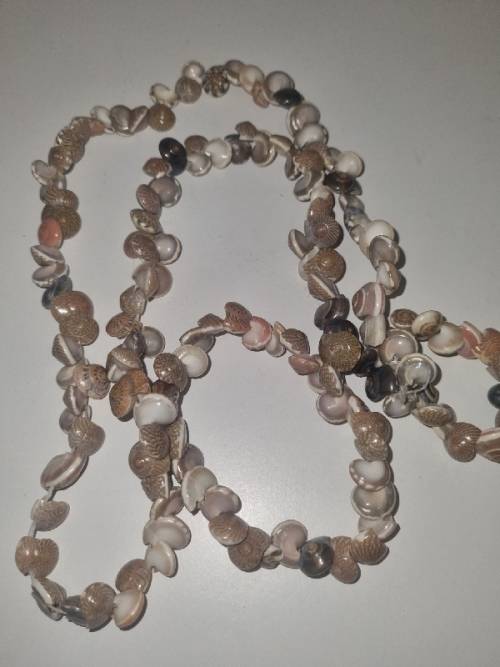 String of small sea shells - See pictures