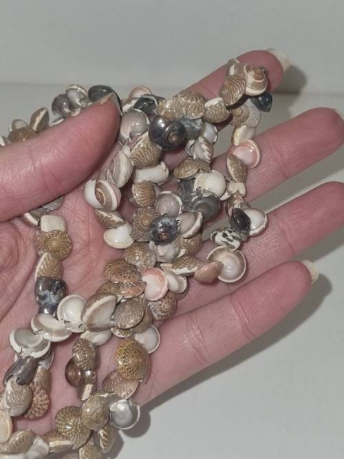 String of small sea shells - See pictures