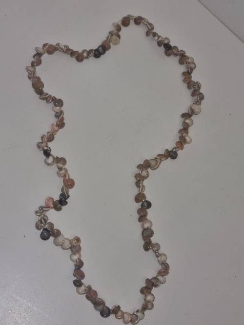 String of small sea shells - See pictures