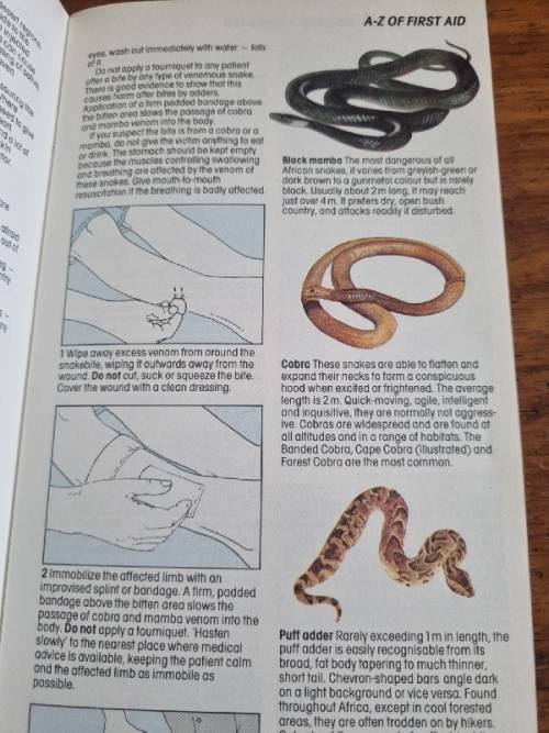 Glove Box Guide AA-RSA