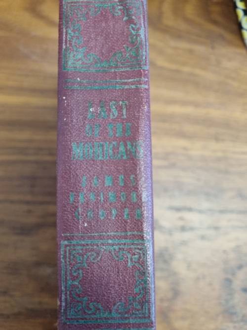 The Last of the Mohicans - James Fenimore Cooper