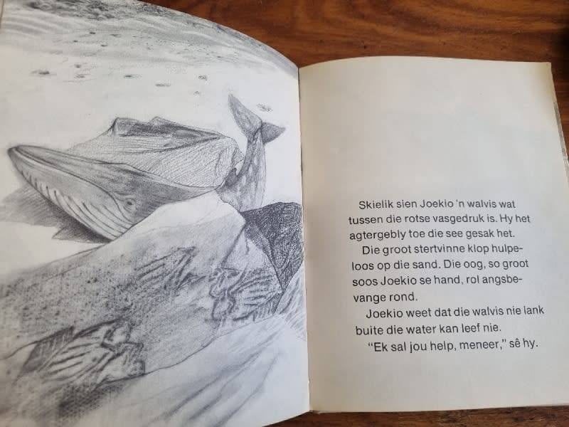 Ronald Roy en Vo-Dinh Mai - Duisend Emmers Water