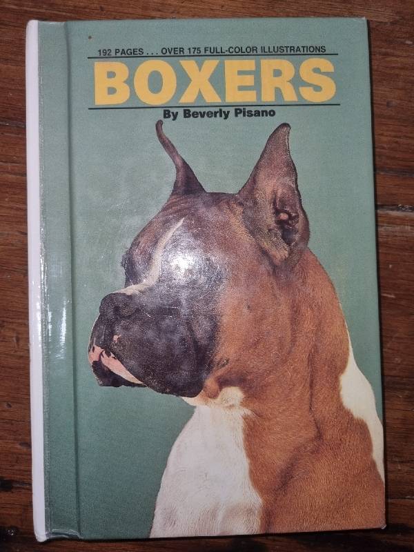 Boxers - Beverly Pisano