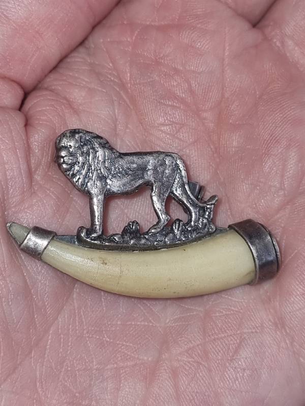Vintage Kruger National Park Brooch