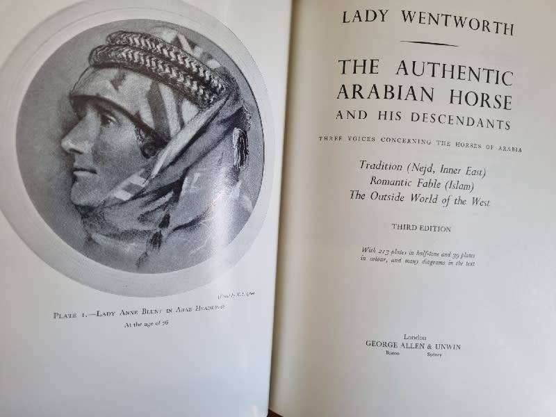 The Authentic Arabian Horse - Lady Wentworth - Large 352p book