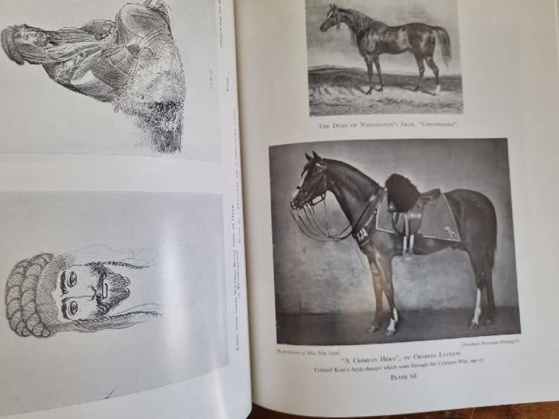 The Authentic Arabian Horse - Lady Wentworth - Large 352p book