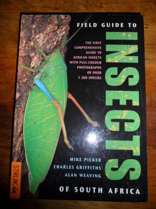 Field Guide to Insects of South Africa - Beautiful book - As New