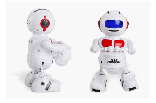 Bot Robot Pioneer 2