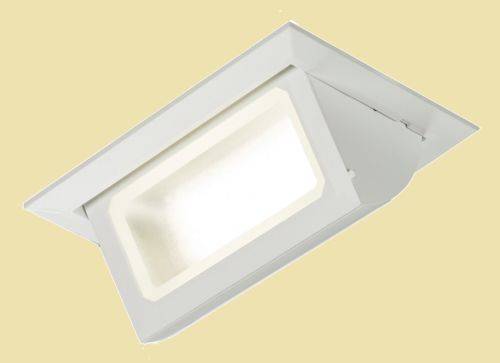 30W Ceiling recessed adjustable shoplight/stagelight
