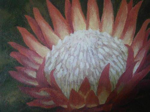 Protea 1 by Sidonie Blanckenberg