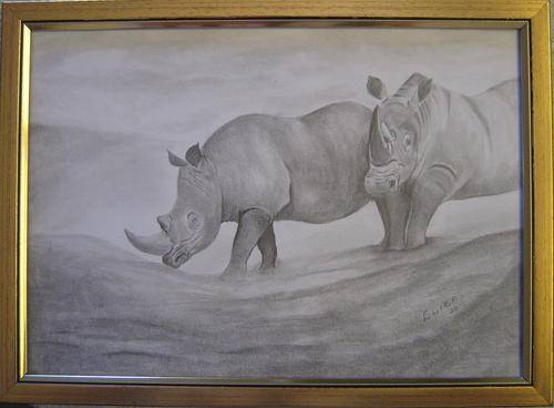 2 Rhinos by Eliza