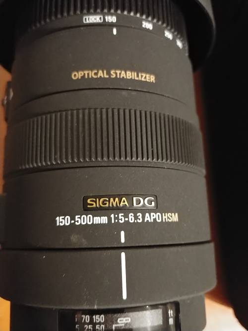 SIGMA 150-500mm F5-6.3 APO DG OS ZOOM Lens for NIKON DSLR Cameras with SIGMA CARRY BAG