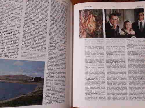The New Oxford Illustrated Dictionary - volumes 1 and 2