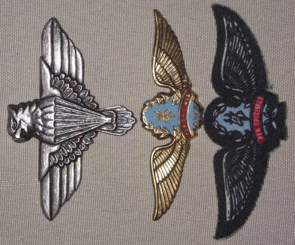 SADF RECCONNAISANCE METAL & CLOTH WING + 44 PARA CAP BADGE JOB LOT