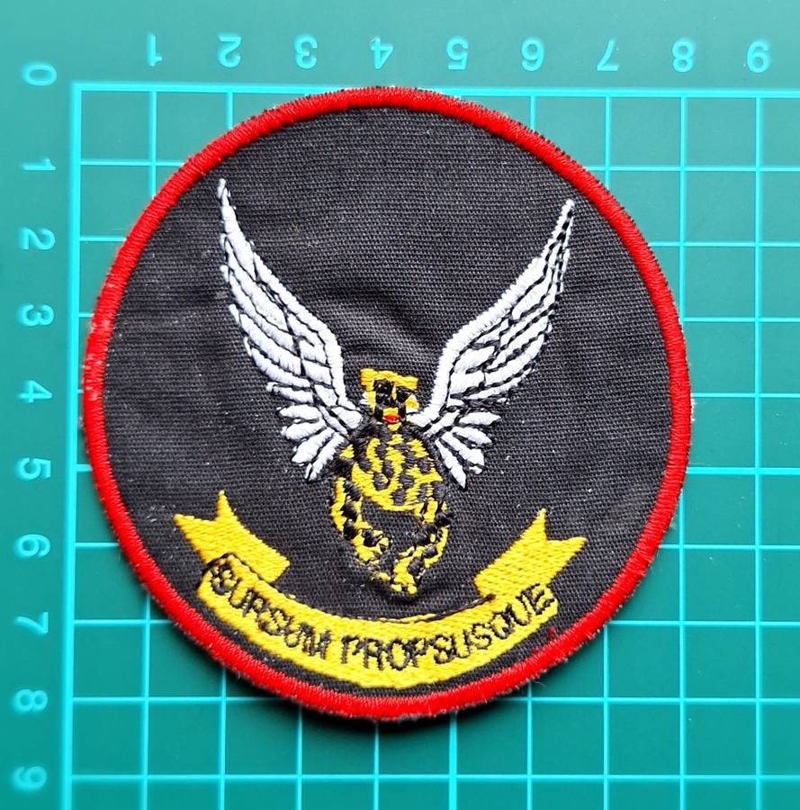 SAAF Patch 2 Squadron