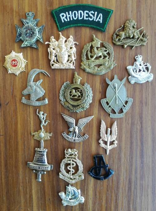 Collection of 17 Different Rhodesia Badges.