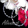 stunning twisted 6cm silver tone hoop earings